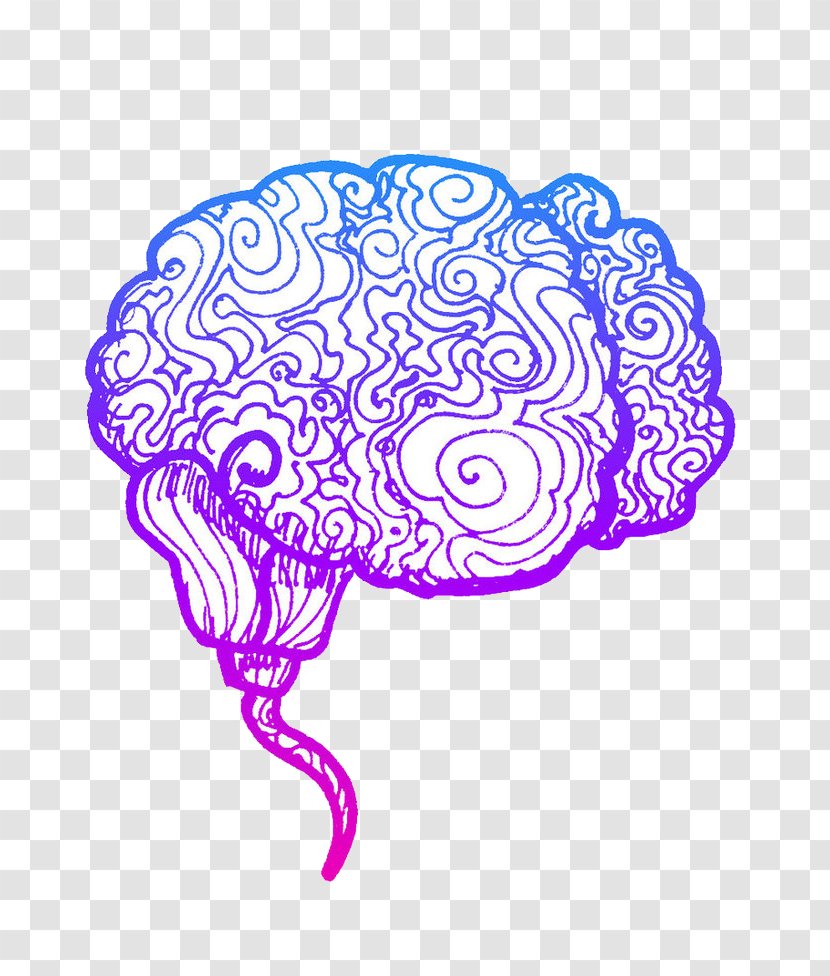 Human Brain Agy Cerebral Hemisphere Cortex Sense - Cartoon Transparent PNG