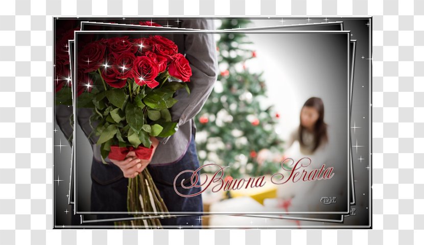 Falling In Love Garden Roses Flower Bouquet Romance - Plant - Festa Della Donna Transparent PNG