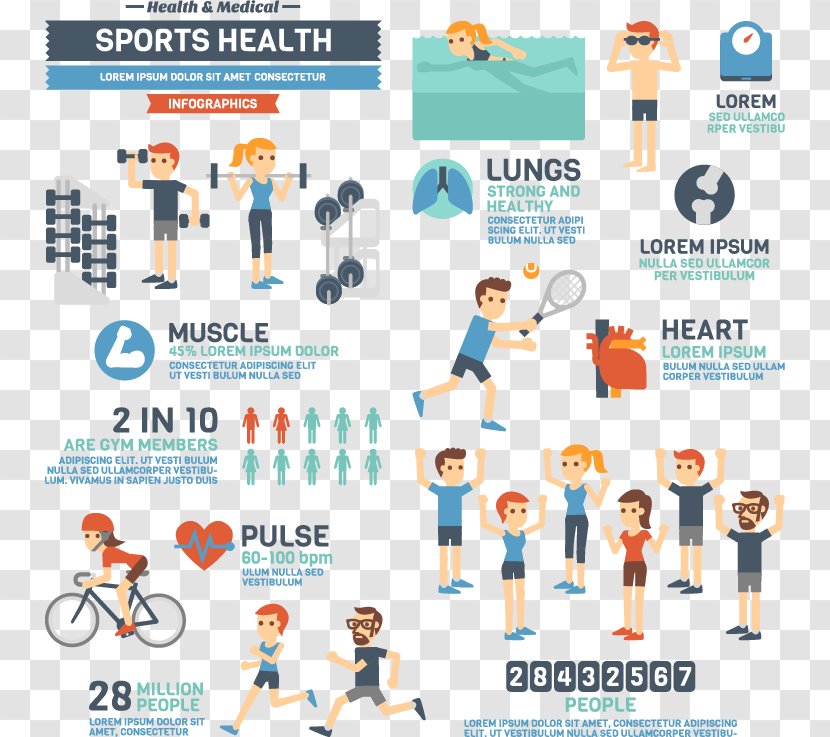Infographic Sport Illustration - Fitness Element Vector Transparent PNG