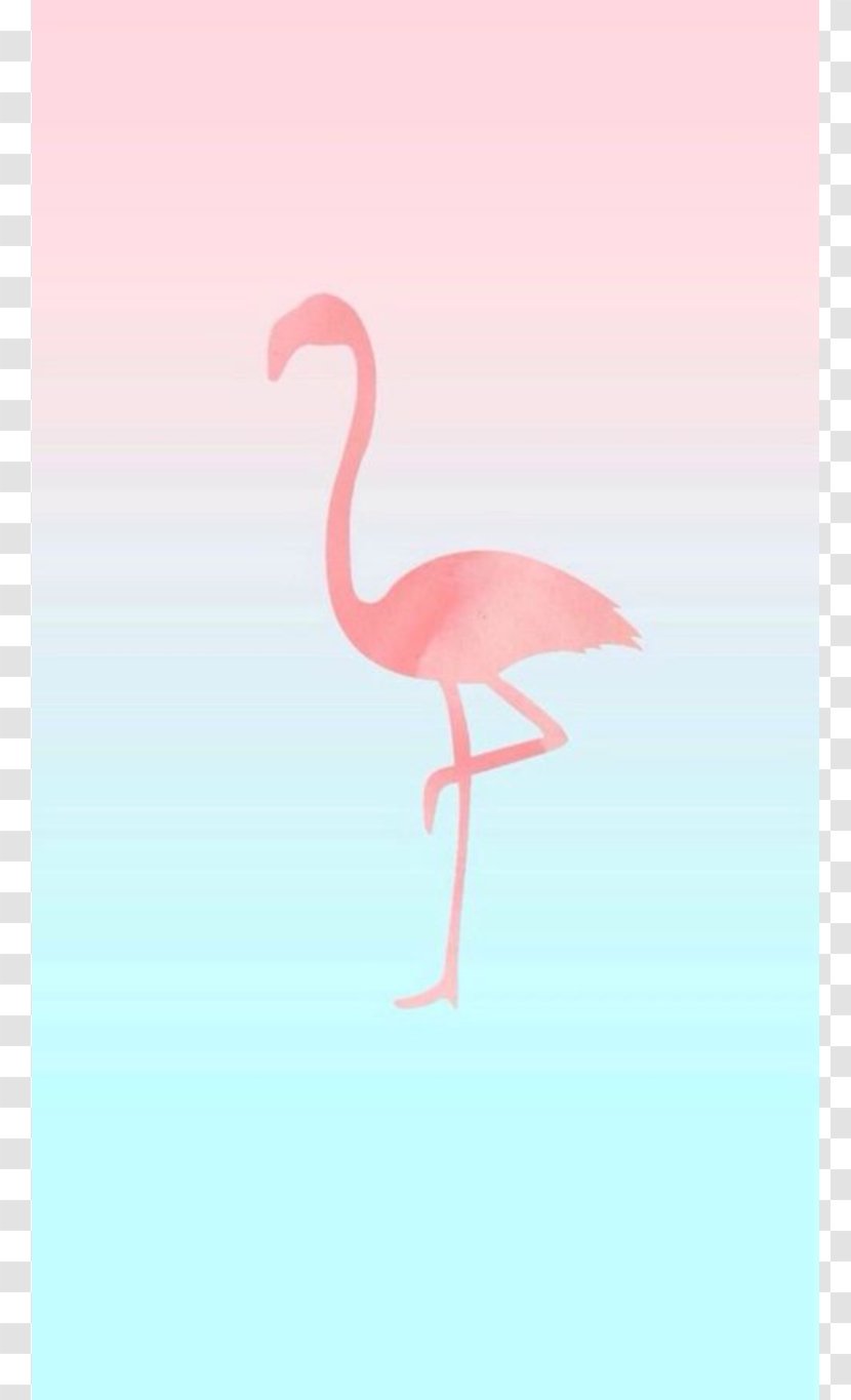 IPhone 6 7 Flamingos Desktop Wallpaper - Flamingo Transparent PNG