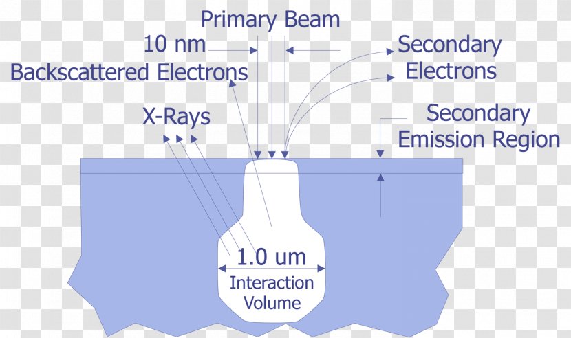 Scanning Electron Microscope Backscatter Range - Water Transparent PNG