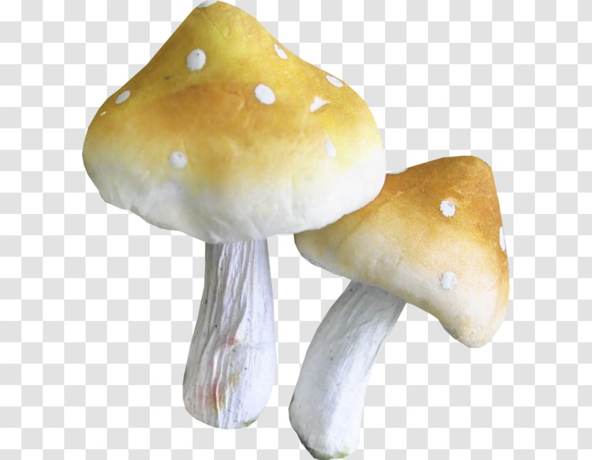 Pleurotus Eryngii Mushroom Clip Art - Edible Transparent PNG