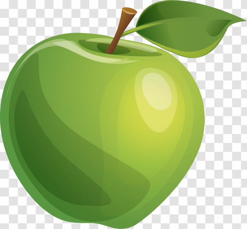 Apple Green - Kiwifruit - Hand Painted Transparent PNG