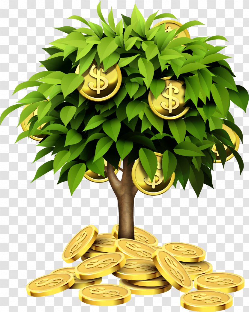 Individual Retirement Account Tree Investment Saving Money - Gold Coin - Vector Transparent PNG