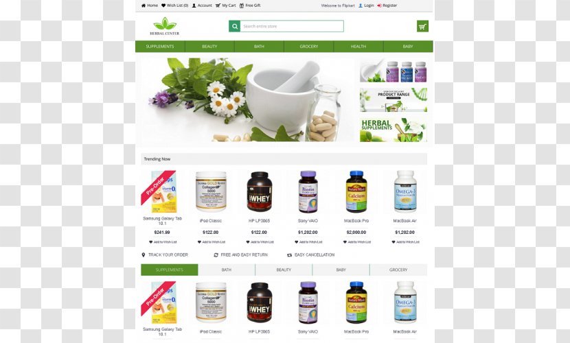 Web Page Herbalism Brand - Herb - Herbal Logo Transparent PNG