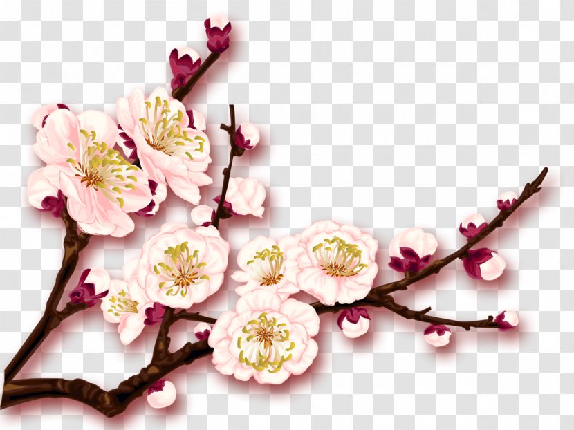 Plum Blossom Download - Flower Transparent PNG