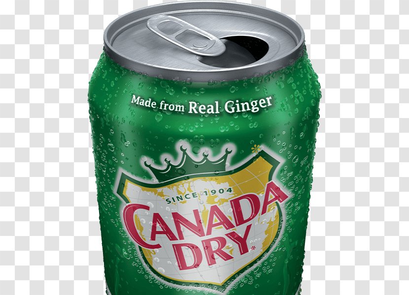 Fizzy Drinks Ginger Ale Beer Root Vernors - Tin Can - Dry Taste Transparent PNG