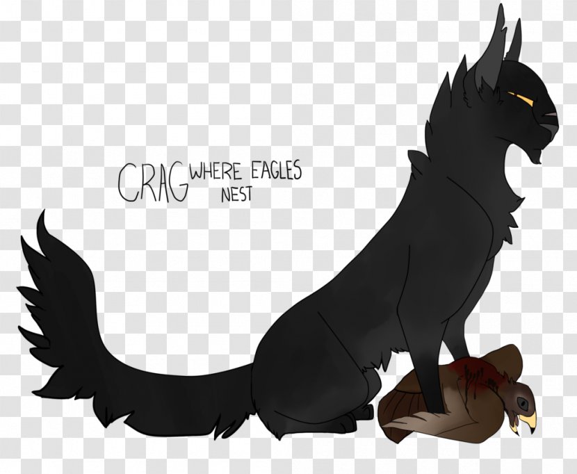 Cat Teller Of The Pointed Stones Healer Drawing Ravenpaw Transparent PNG