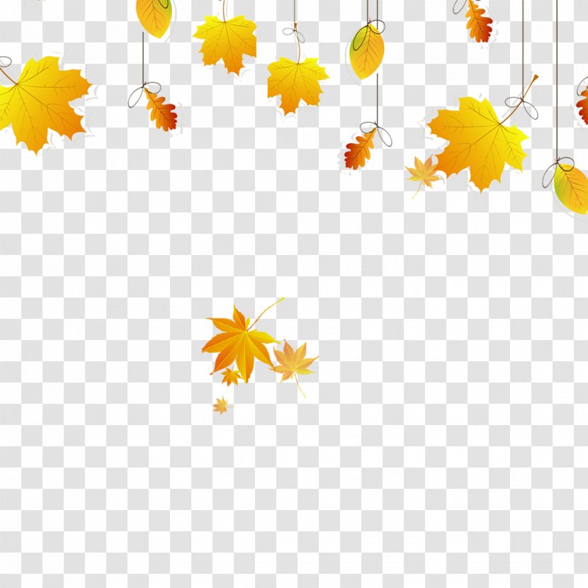 Maple Leaf Autumn Color - Tutorial - Material Transparent PNG