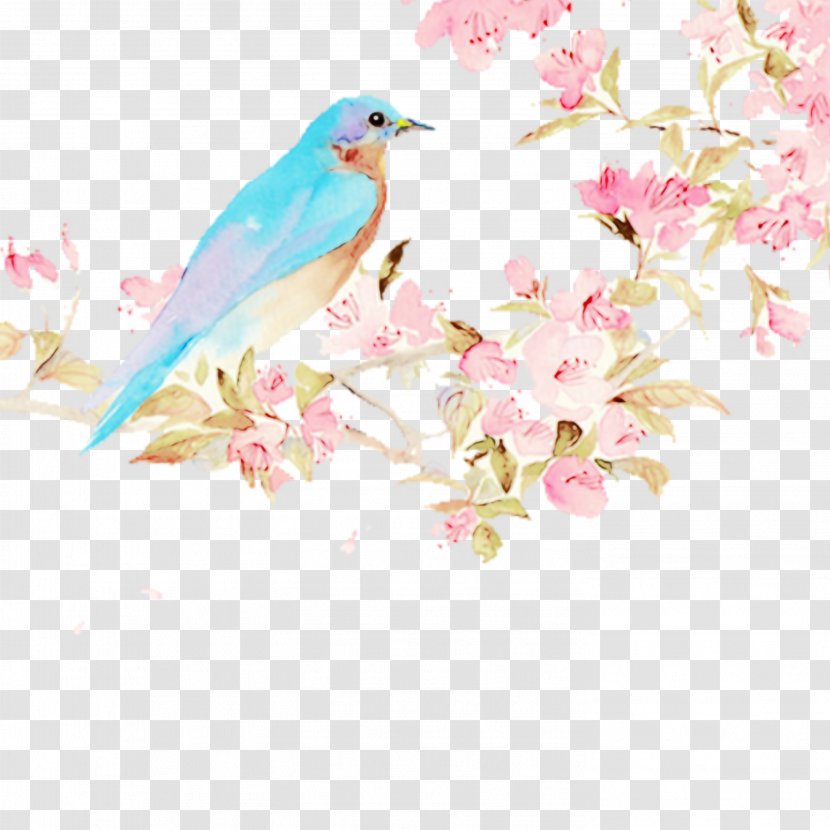 Bird Pink Blossom Flower Branch - Paint - Perching Songbird Transparent PNG