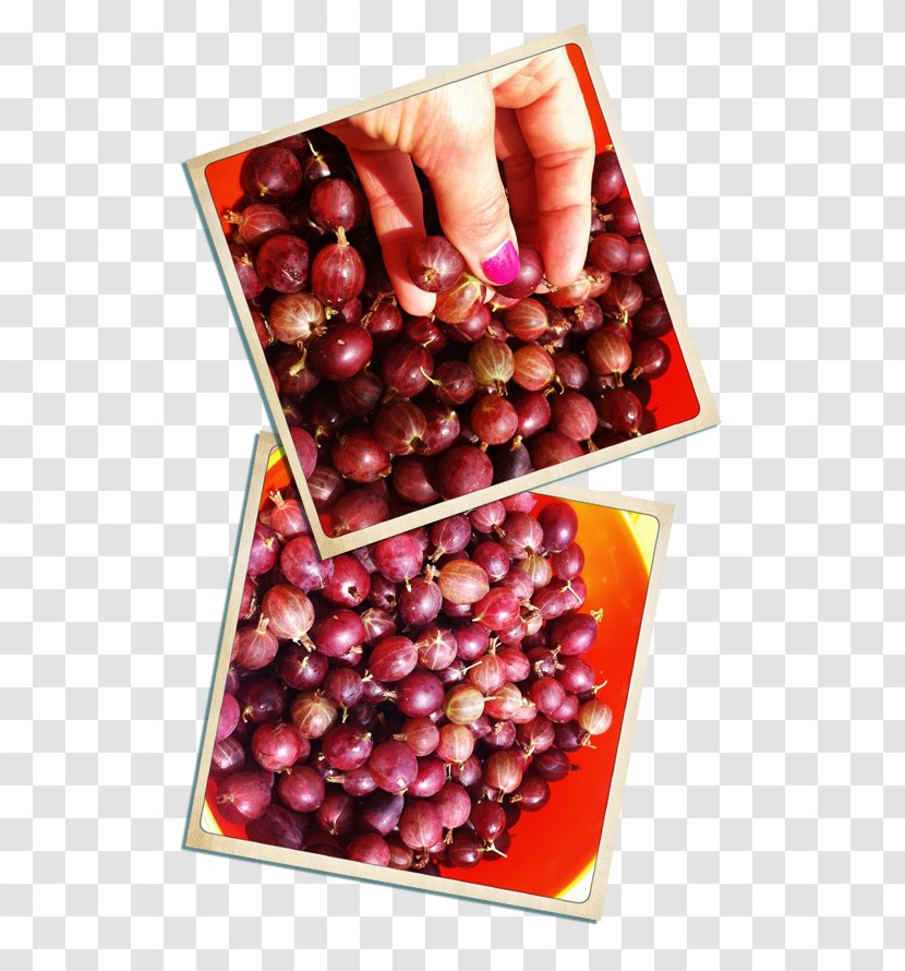 Cranberry Pink Peppercorn Natural Foods Superfood Transparent PNG