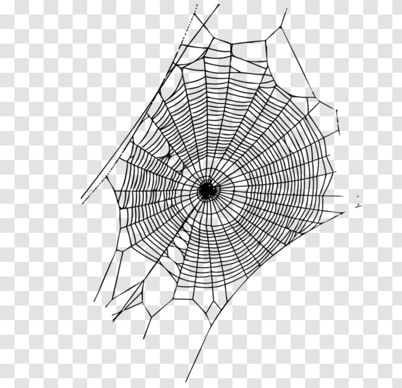 Spider Web Silk Page - Plant Transparent PNG