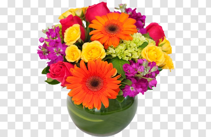 Transvaal Daisy Cut Flowers Floral Design Sendik's Food Market - Annual Plant - Mix Transparent PNG