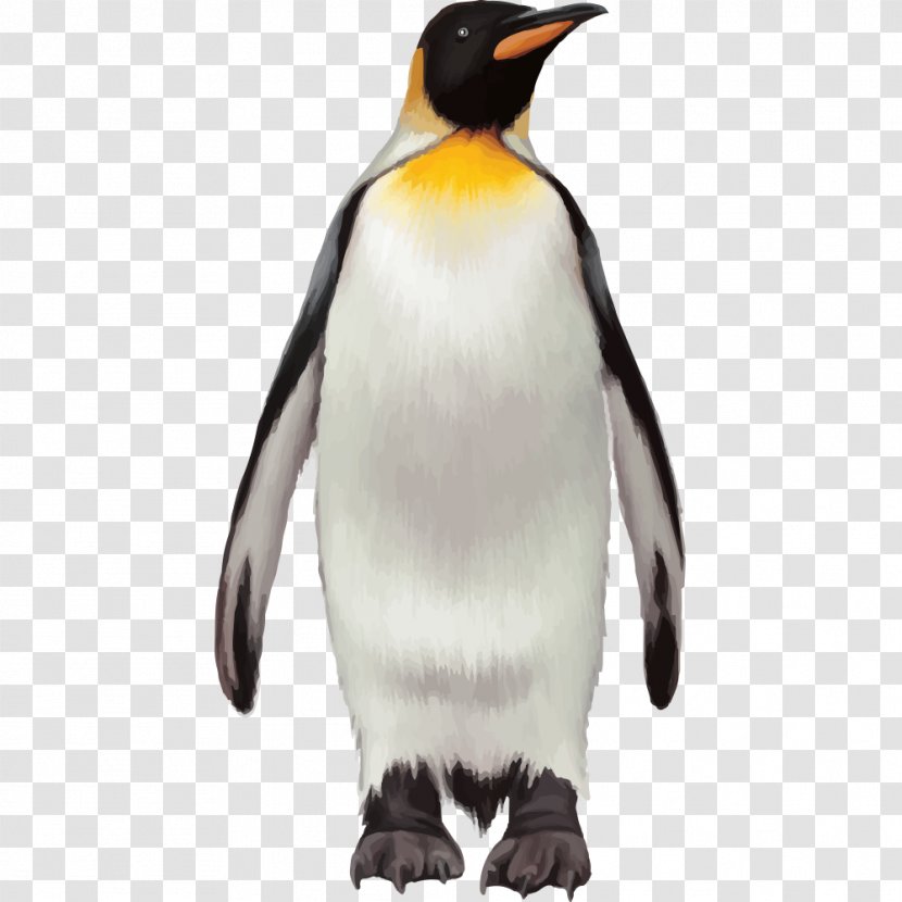 Penguin Bird Cartoon - Cygnini Transparent PNG