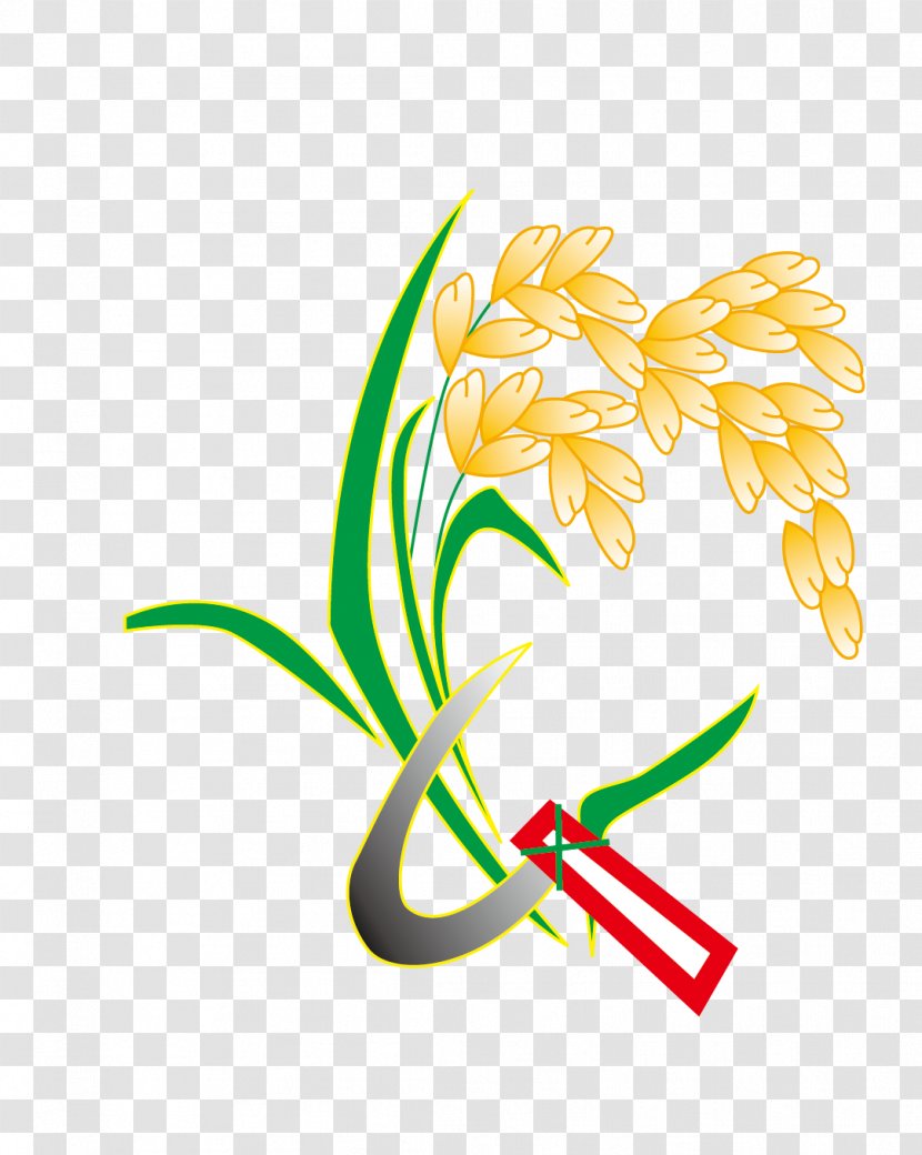Floral Design Clip Art - Flower - Vector Wheat Transparent PNG