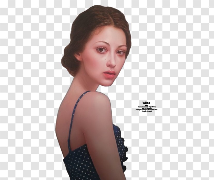 Hair Coloring Beauty.m Chin - Cartoon - Wilma Transparent PNG