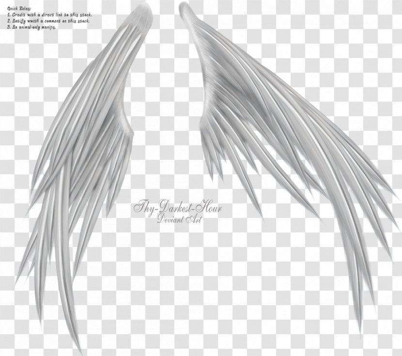 Wings Of Madness Black And White Photography - Drawing Transparent PNG