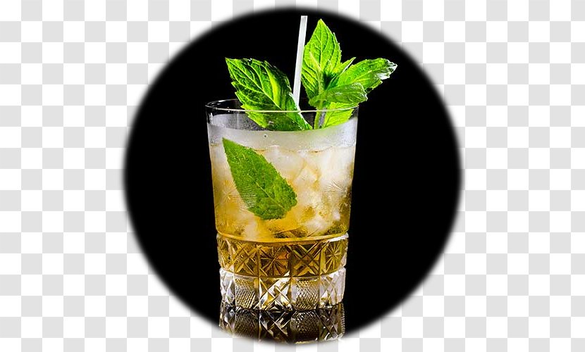 Mint Julep Mojito Cocktail Garnish - Alcoholic Beverages Transparent PNG