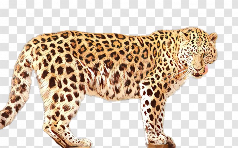 Leopard Jaguar Cheetah Ocelot Fauna - Terrestrial Animal Transparent PNG