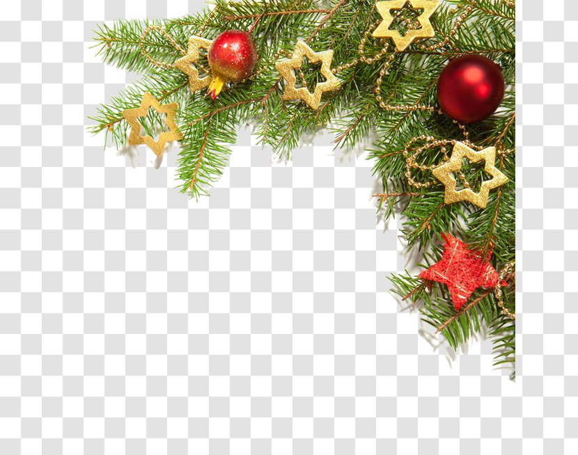 Christmas Decoration Ornament Tree Clip Art - Spruce - Pentagram Transparent PNG