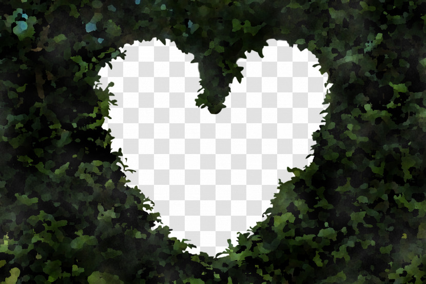 Heart Leaf Green Sky Tree Transparent PNG