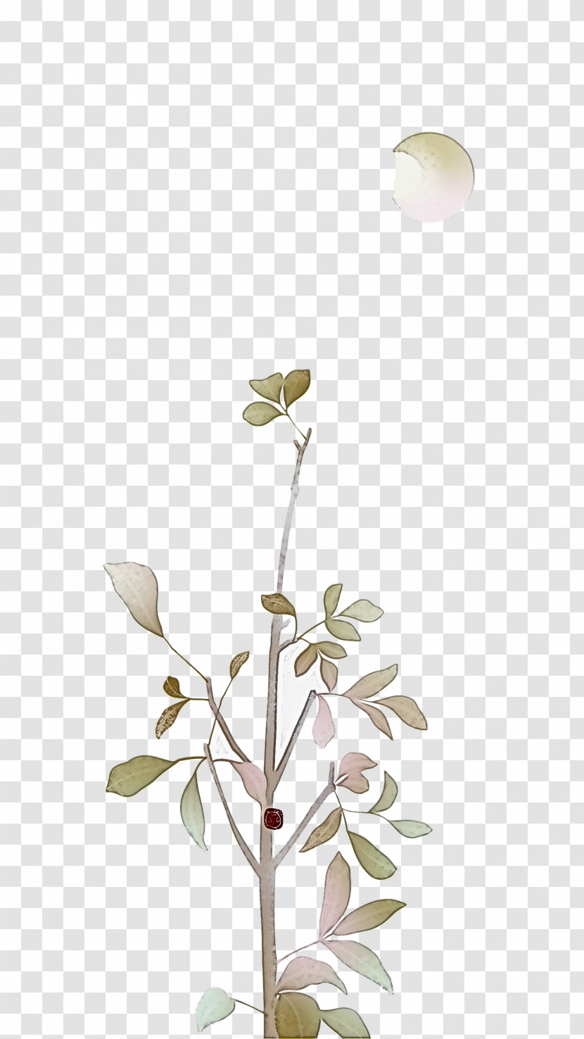 Plant Stem Cut Flowers Twig Petal Flora Transparent PNG