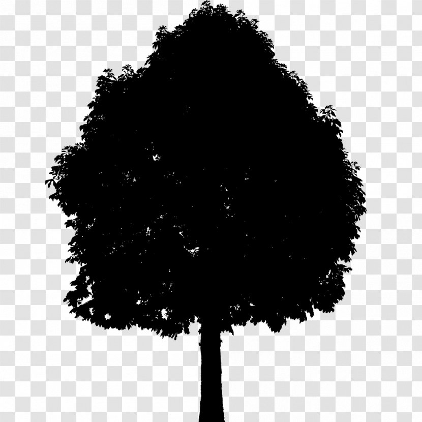 Tree Silhouette Leaf Sky Transparent PNG