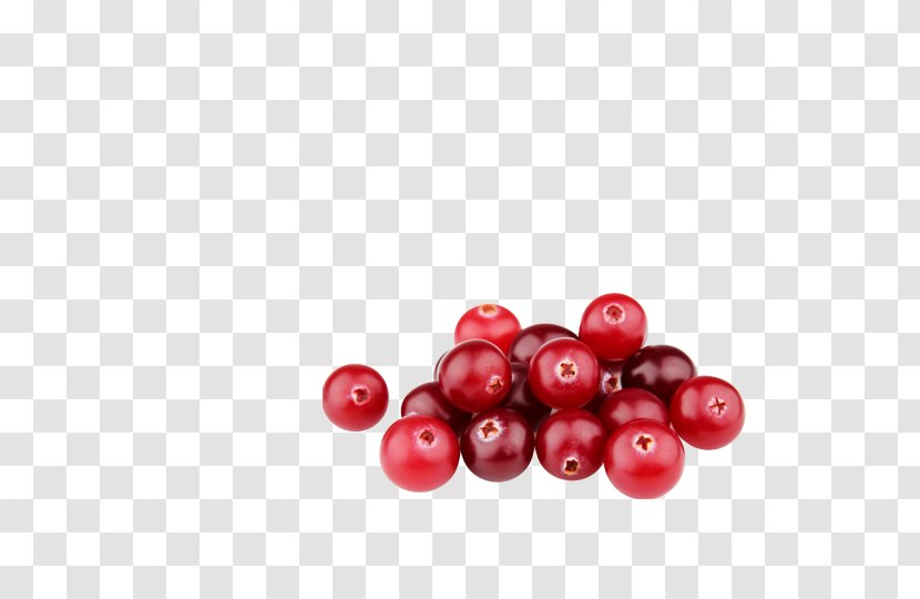 Cranberry Bilberry Lingonberry Superfood - Source File Library Transparent PNG