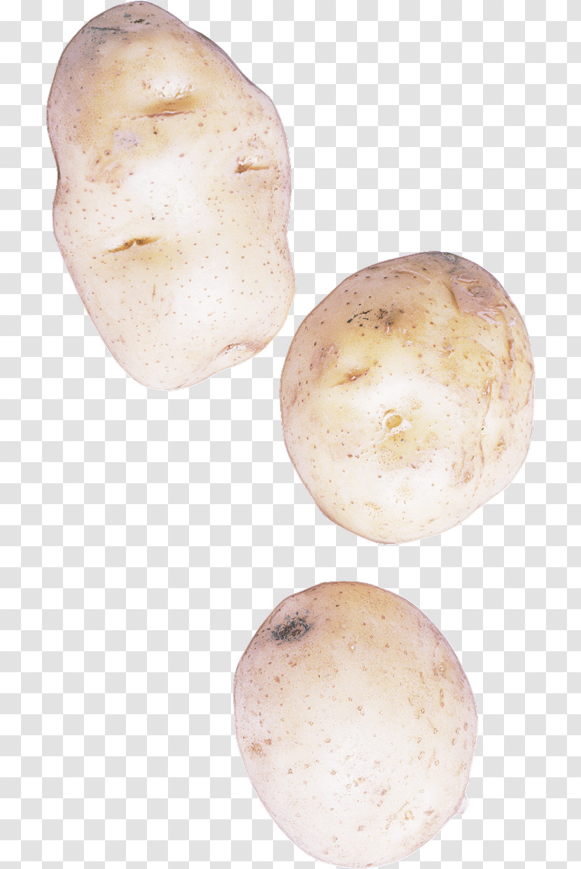 Root Vegetable Tuber Potato Vegetable Solanum Transparent PNG