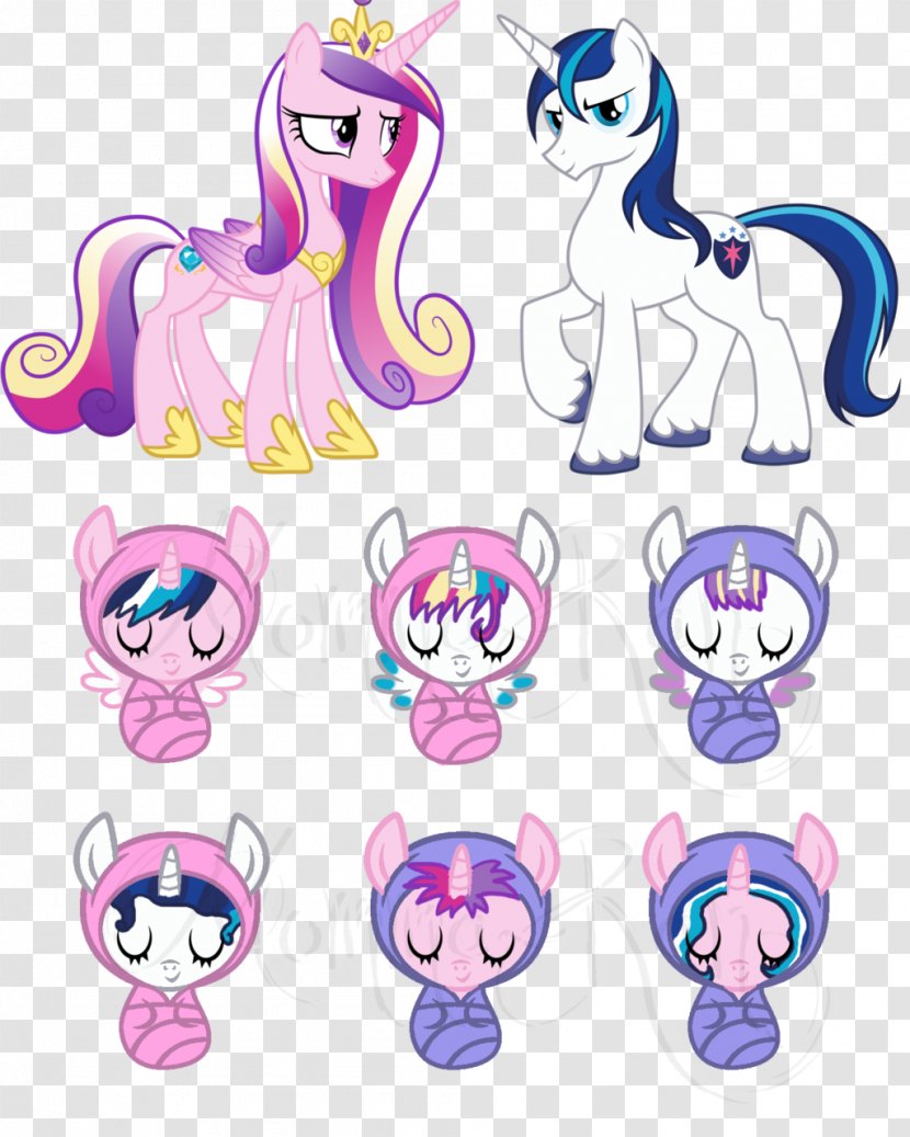 Twilight Sparkle Princess Cadance Foal Pony Rainbow Dash - My Little Transparent PNG