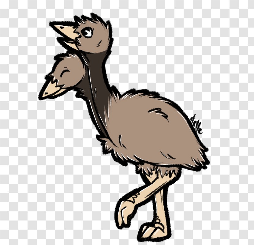 Common Ostrich Doduo Emu Horse Camel - Bird - Tail Transparent PNG
