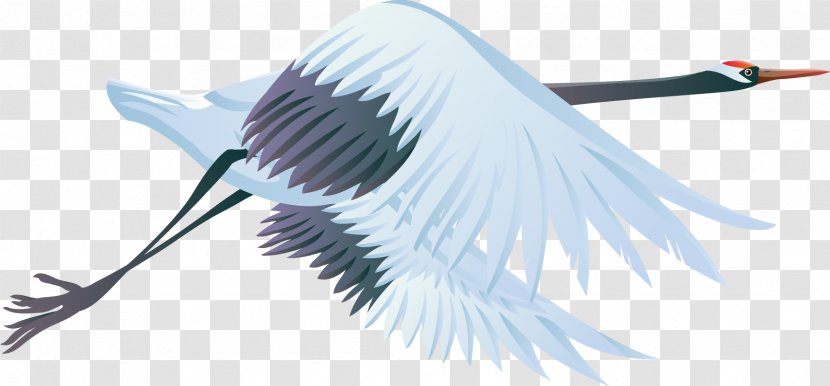 Crane Bird Clip Art - Feather - Albatross Transparent PNG