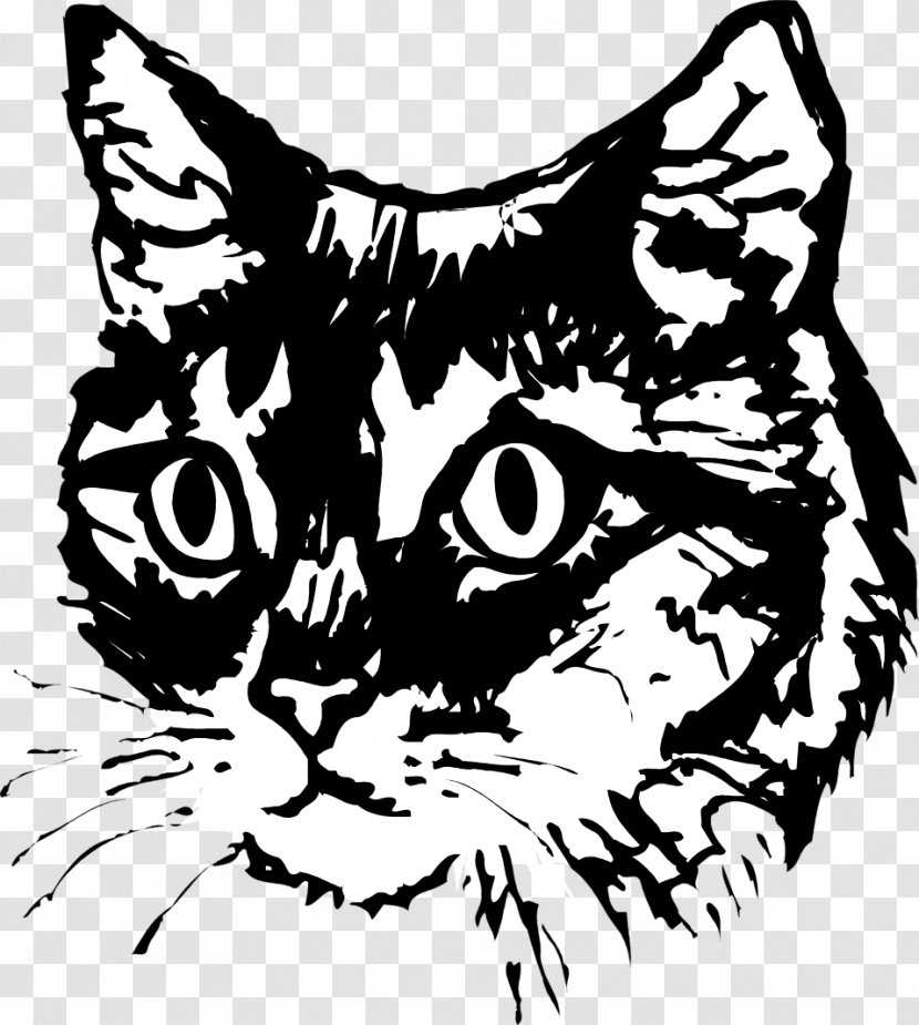 Kitten Sphynx Cat Drawing Pet Clip Art - Fauna - Illustrator Transparent PNG