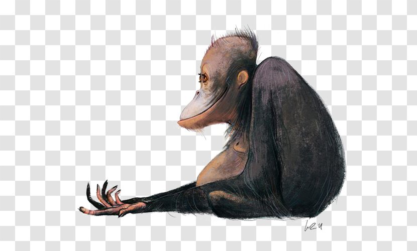 Ape Orangutan Cartoon Illustration - Fauna Transparent PNG