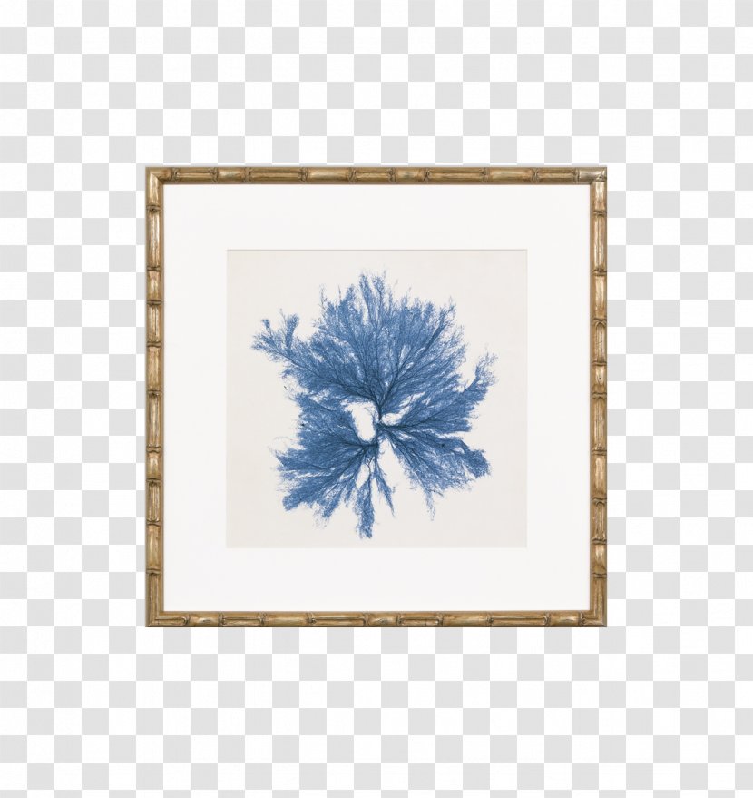 Jemden Interiors Picture Frames Work Of Art Mirror - Tree - Seaweed Nori Transparent PNG