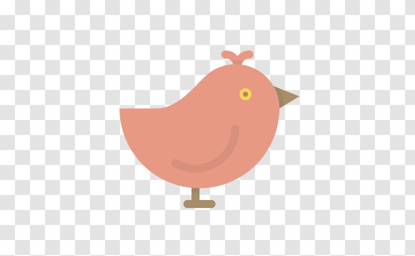 Bird Sparrow - Chicken - Easter Bunny Transparent PNG