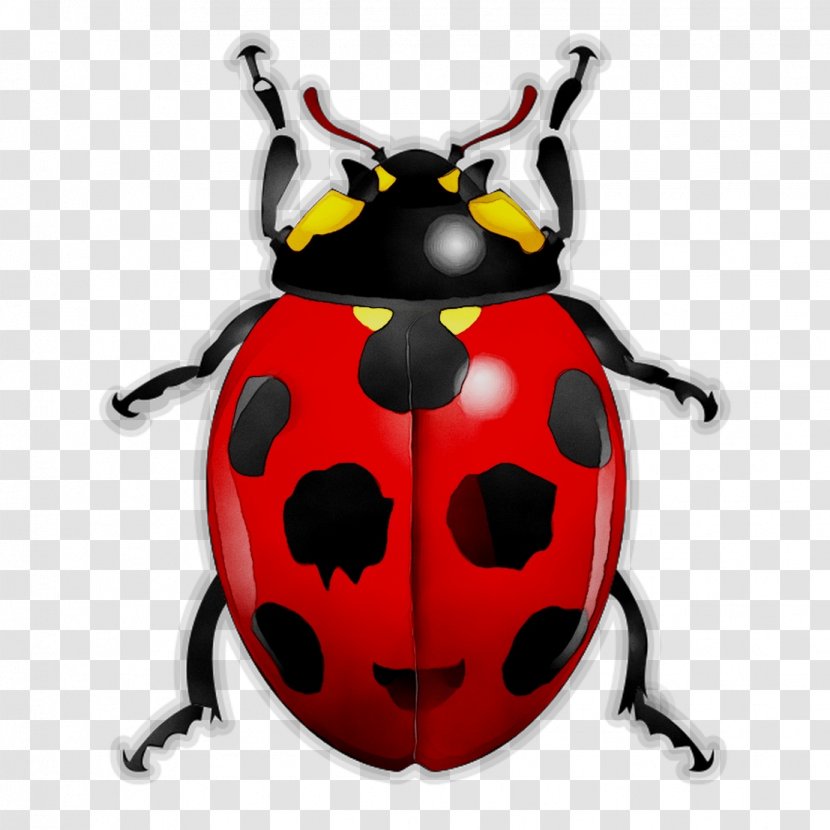Beetles And Other Insects Ladybird Beetle True Bugs Arthropod - Insect Transparent PNG