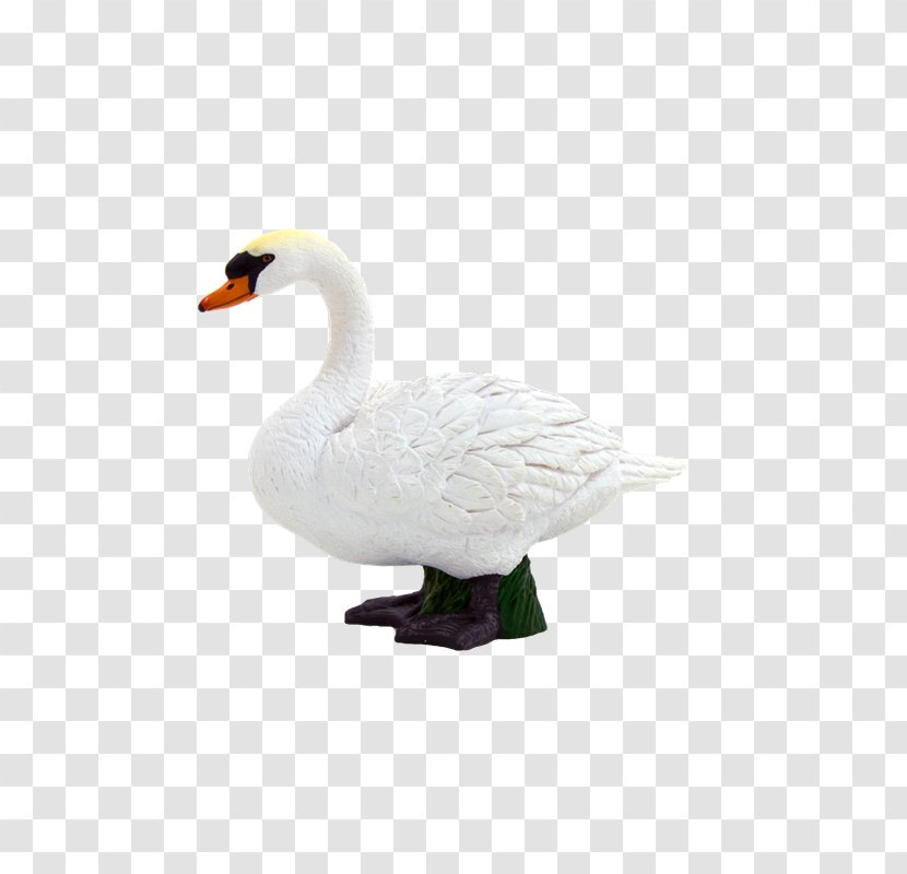 Mute Swan Goose Duck Pony Cygnini - Waterfowl - Sal Transparent PNG