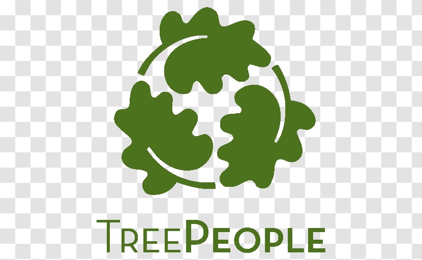 TreePeople Organization Non-profit Organisation Tree Planting Transparent PNG