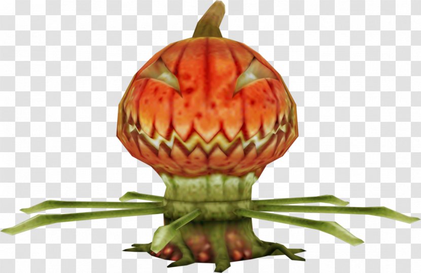 Pumpkin MediEvil: Resurrection Calabaza Winter Squash Gourd Transparent PNG