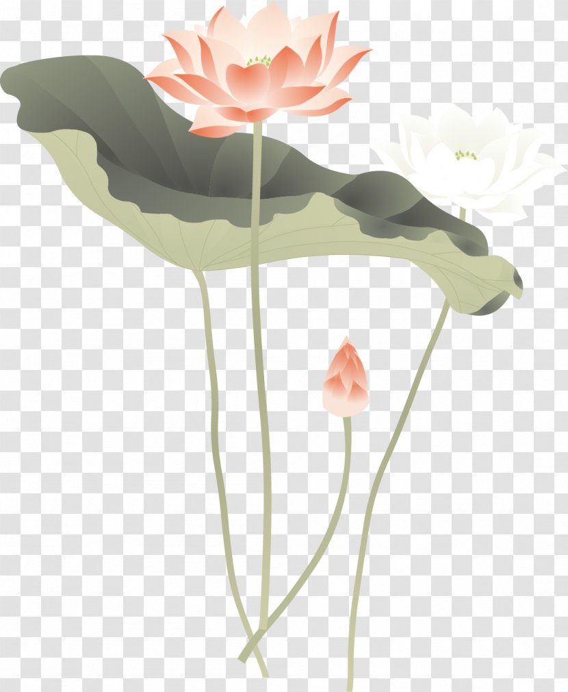 Flower Clip Art - Lotus Leaf Transparent PNG