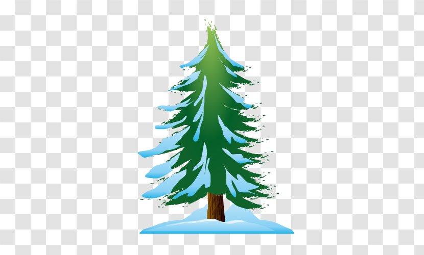 Cedar Pine Snow - Christmas Decoration - Vector Transparent PNG