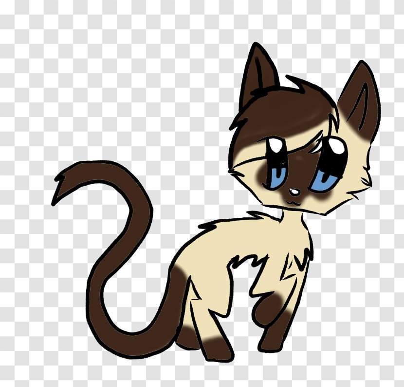 Whiskers Kitten Cat Dog Canidae Transparent PNG