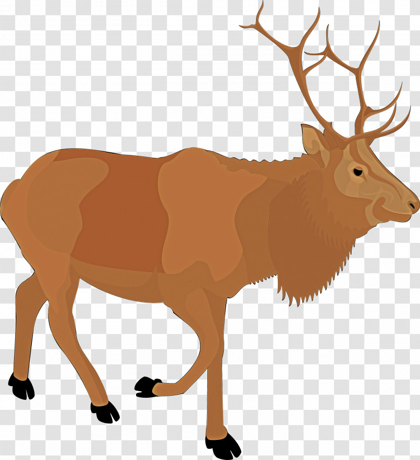 Reindeer Transparent PNG