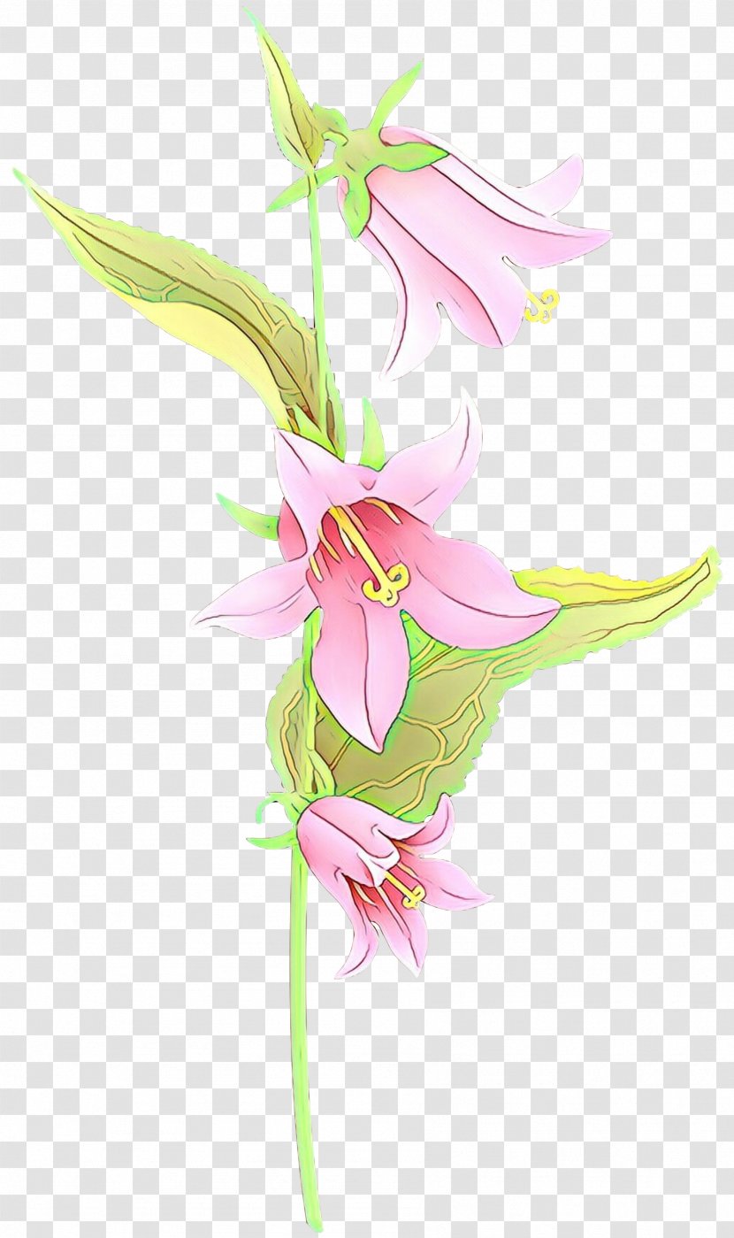 Flower Plant Pink Pedicel Lily - Cut Flowers - Family Transparent PNG