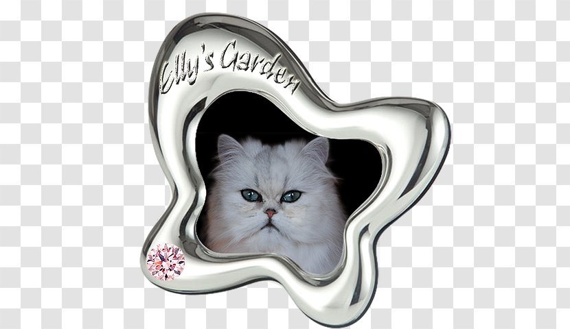 Whiskers Kitten Body Jewellery Silver - Carnivoran Transparent PNG