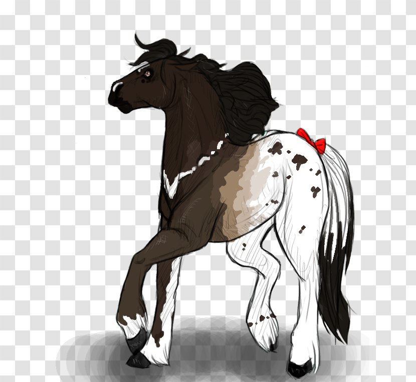 Mustang Stallion Foal Colt Mare - Rein Transparent PNG