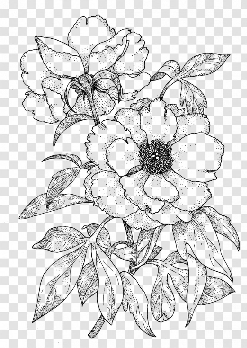 Drawing Line Art Sketch - Wild Flowers Transparent PNG