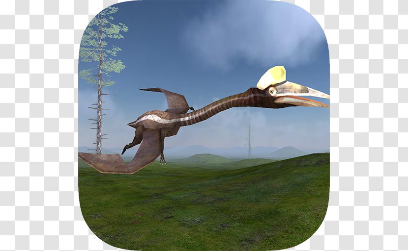Pterosaur Flight Simulator 3D Bottle Shoot Game Ultimate Jungle Savanna - Crane Like Bird - Android Transparent PNG