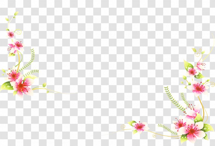 Floral Flower Background - Display Resolution - Blossom Pedicel Transparent PNG